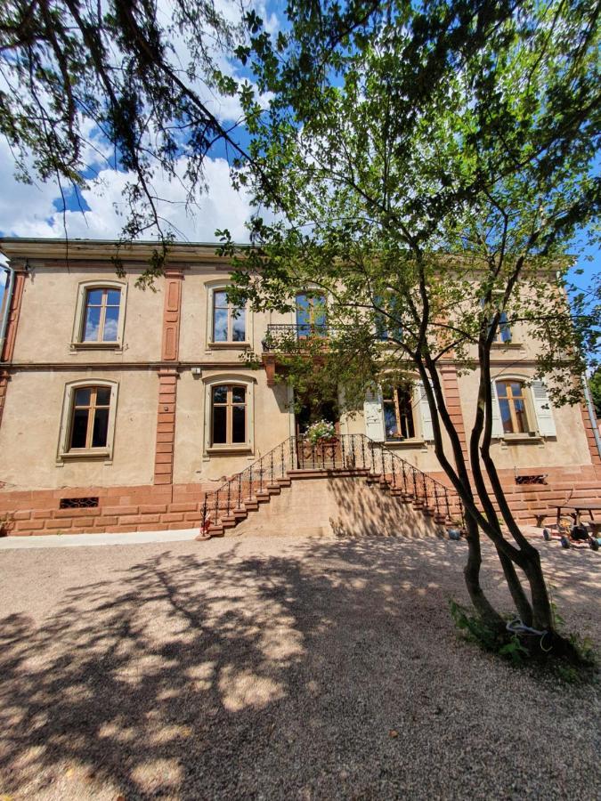 Sojolidays - Appartements D'Hotes Sur La Route Des Vins D'Alsace Rorschwihr Eksteriør bilde
